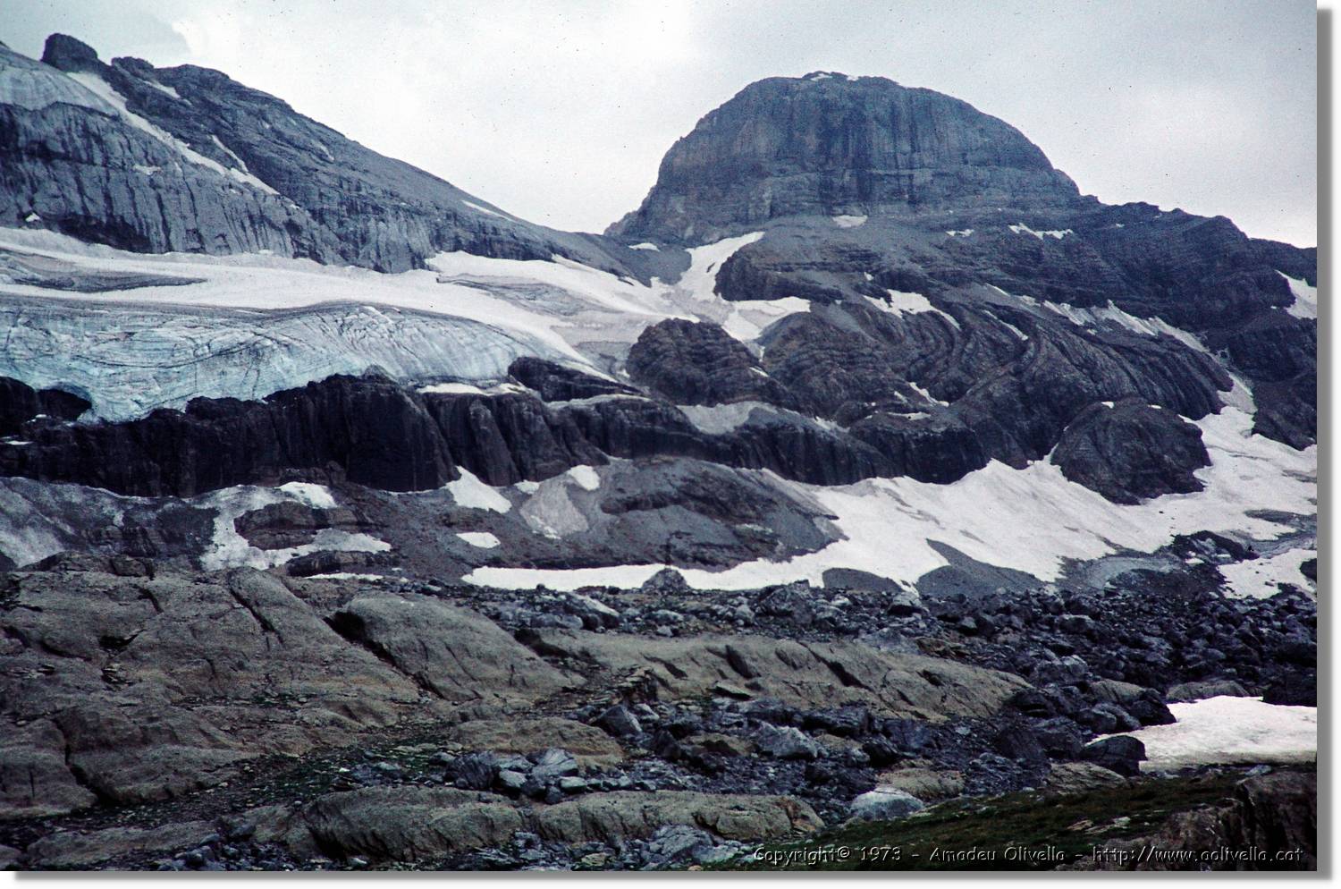 Pineta_008.jpg