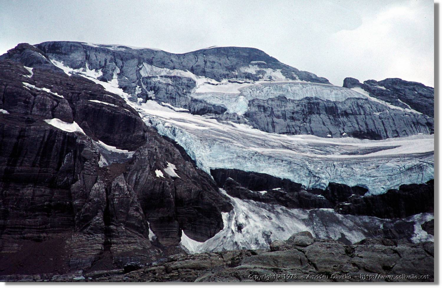 Pineta_009.jpg