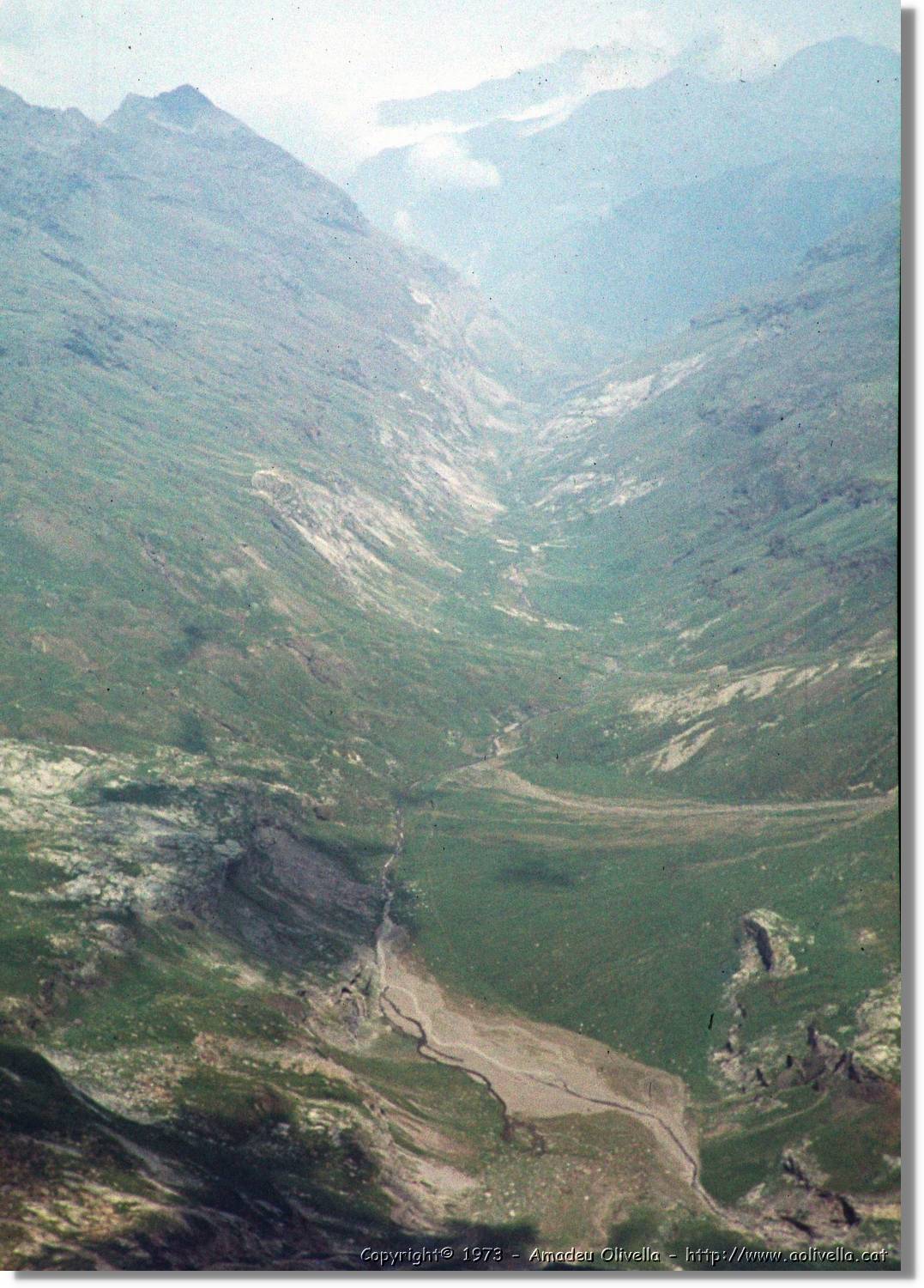 Pineta_019.jpg