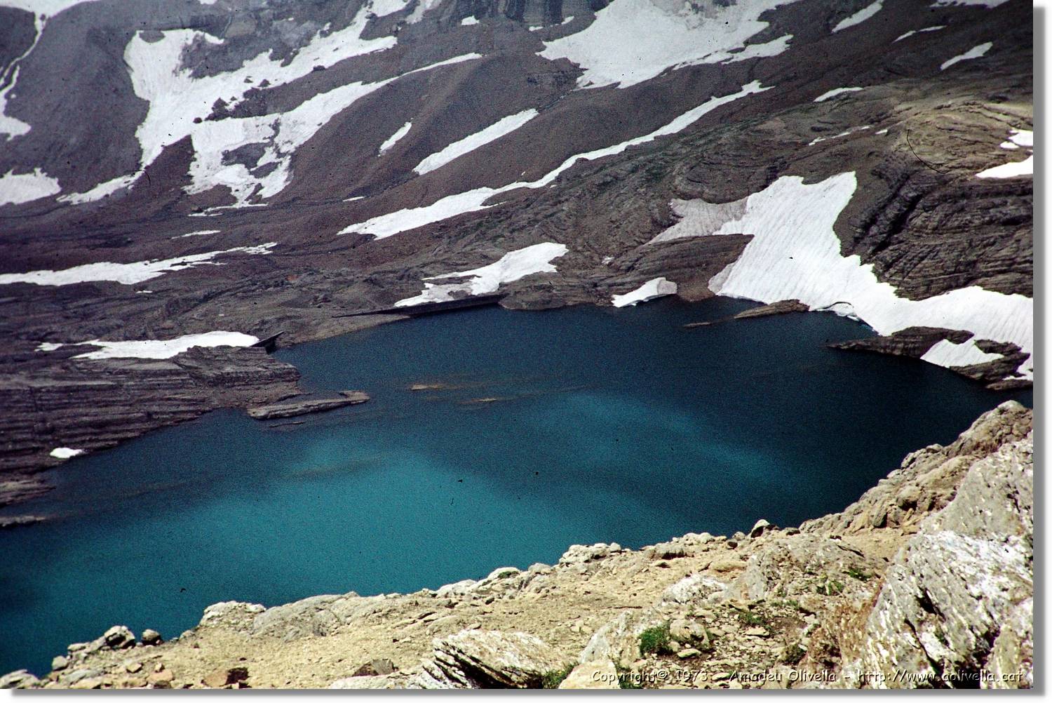 Pineta_022.jpg