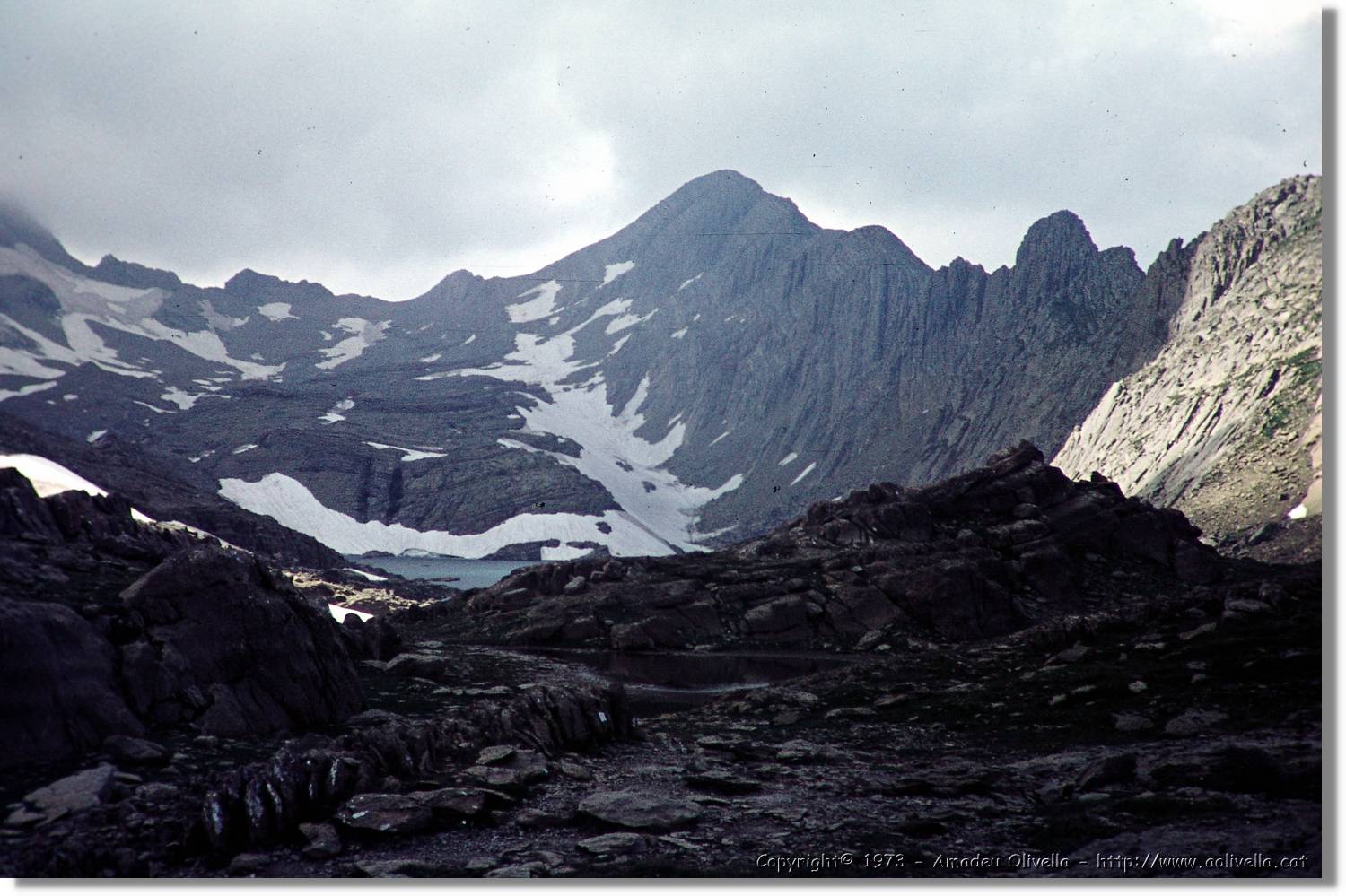Pineta_027.jpg