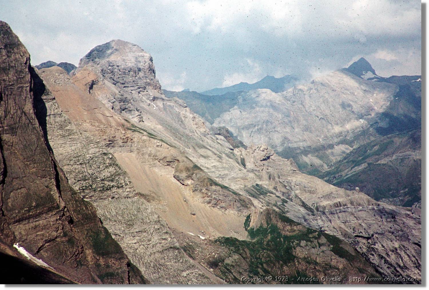 Pineta_028.jpg