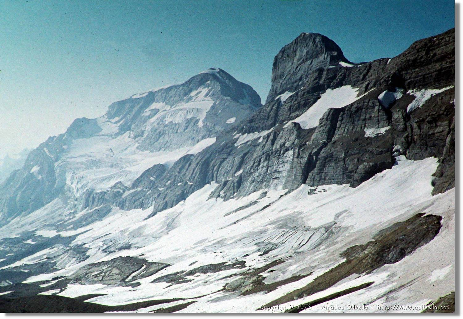 Pineta_035.jpg