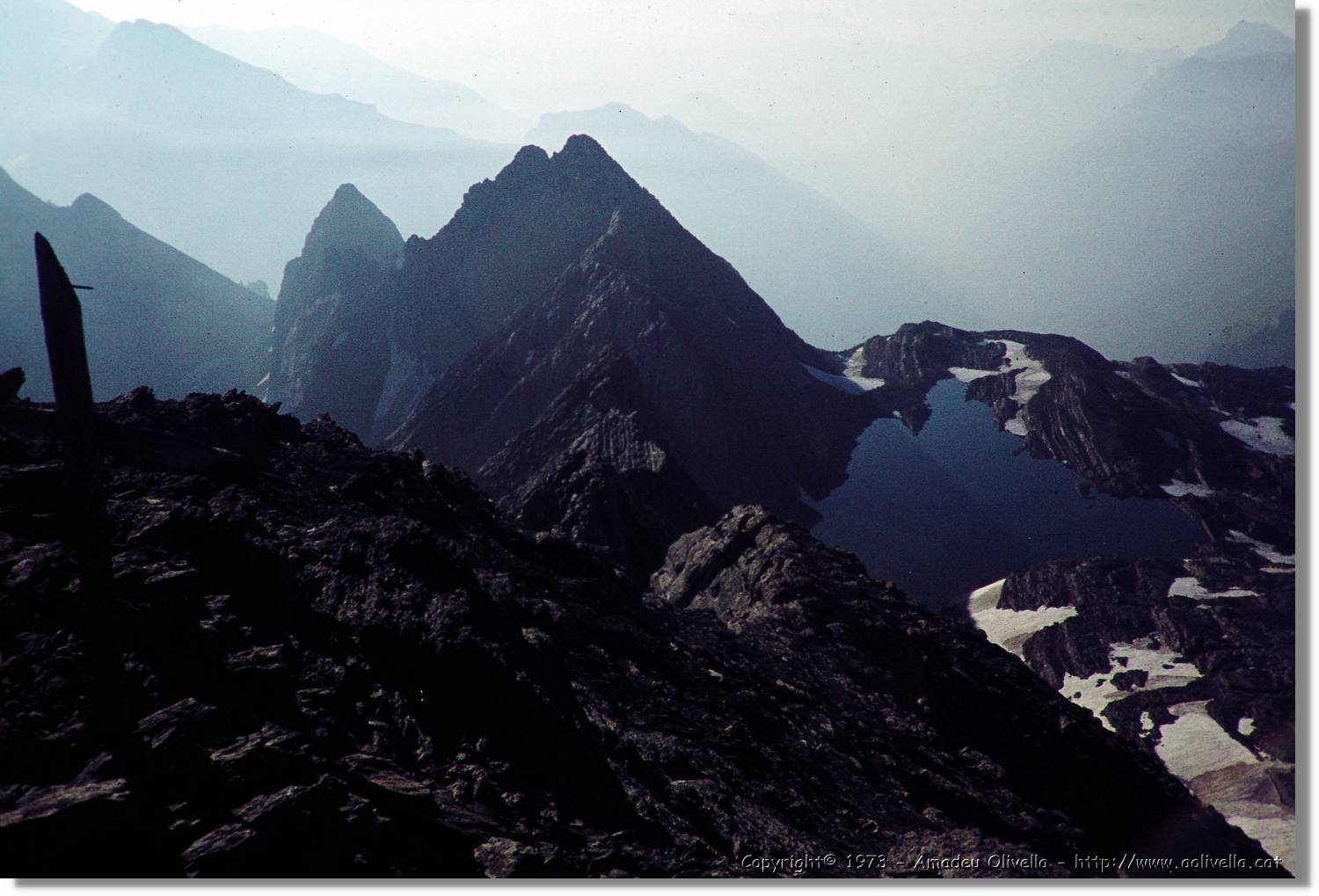 Pineta_038.jpg