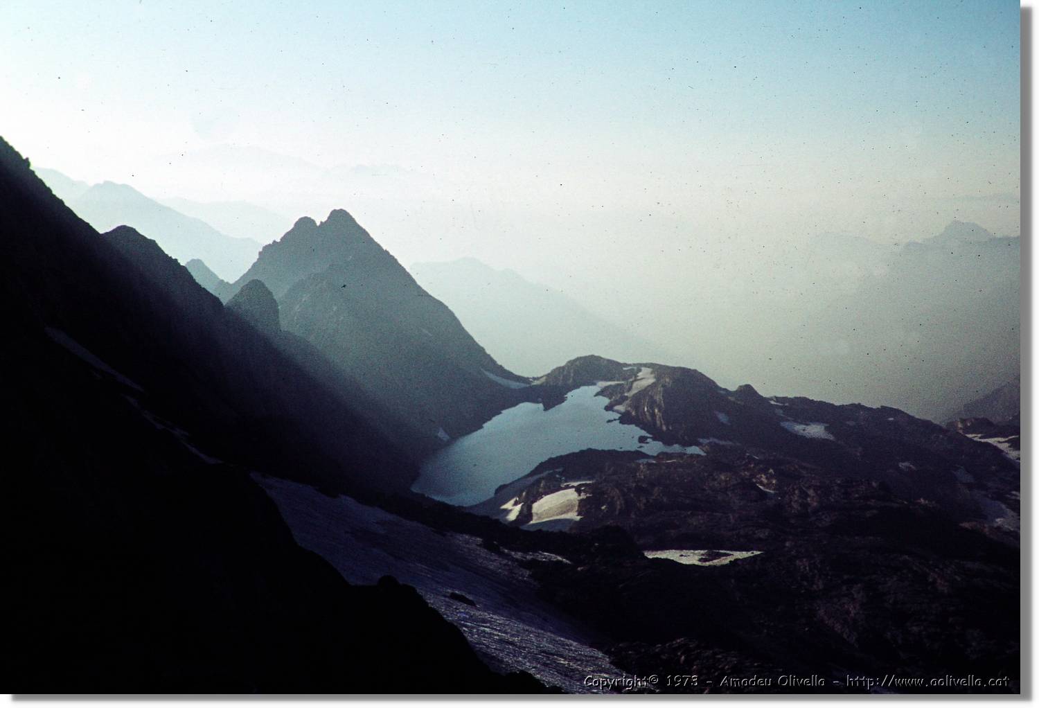 Pineta_039.jpg