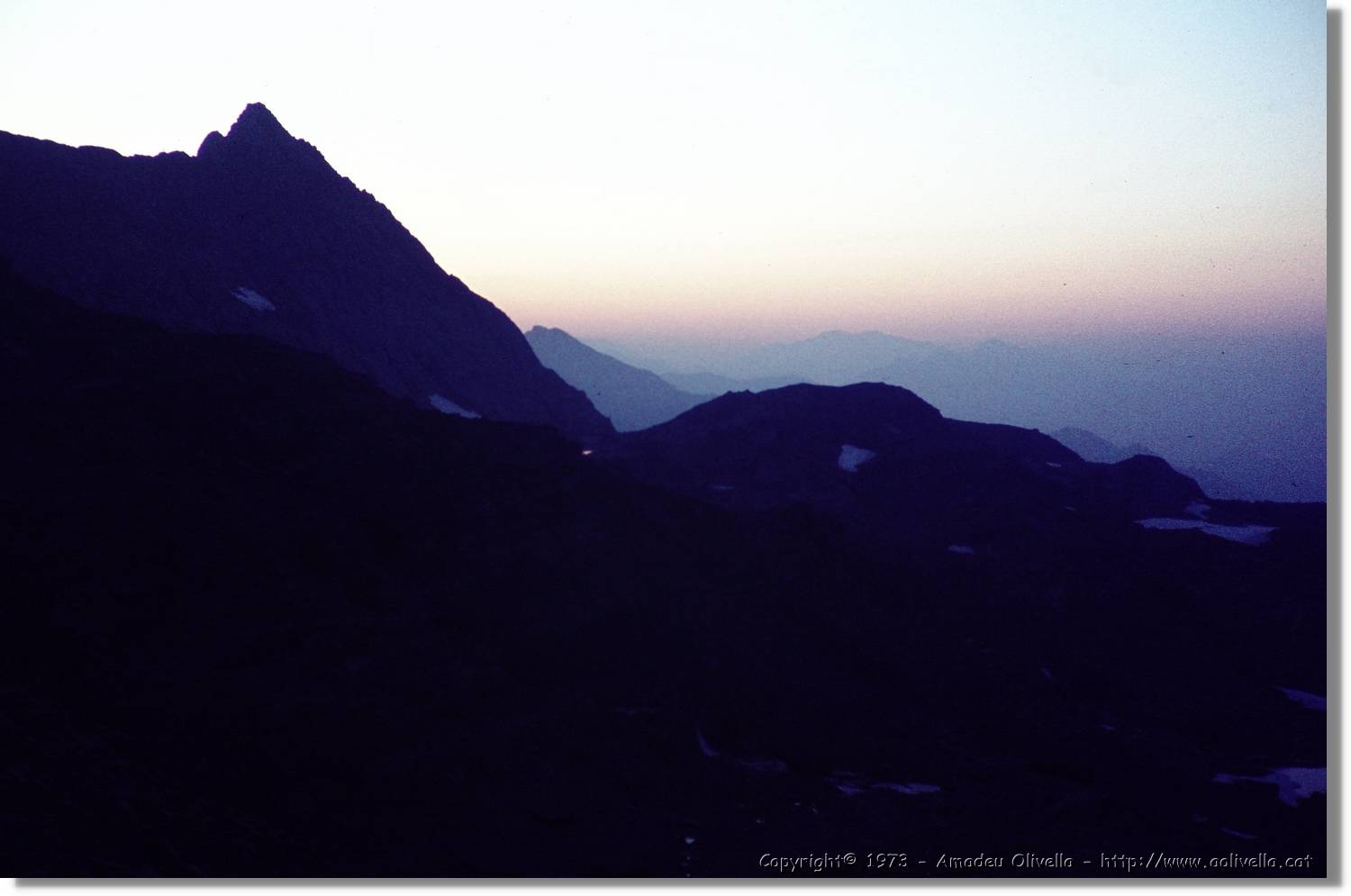 Pineta_040.jpg