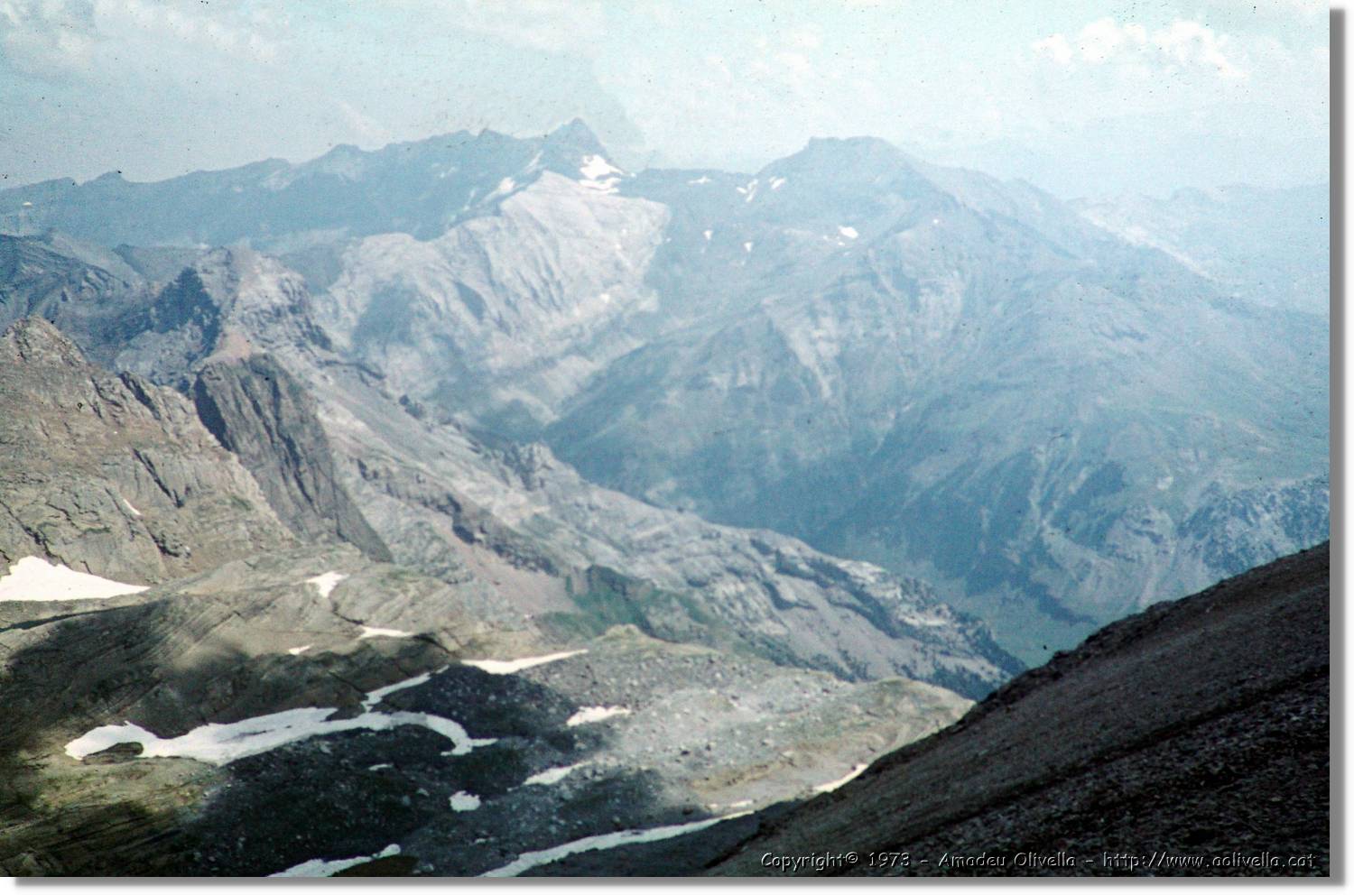 Pineta_048.jpg