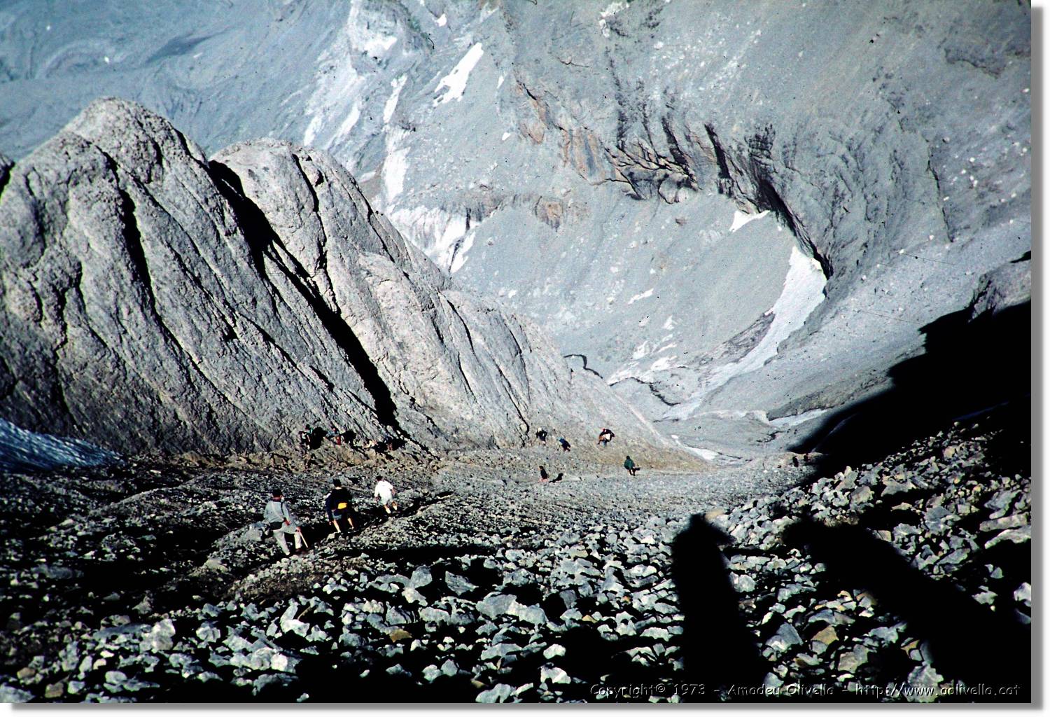 Pineta_057.jpg