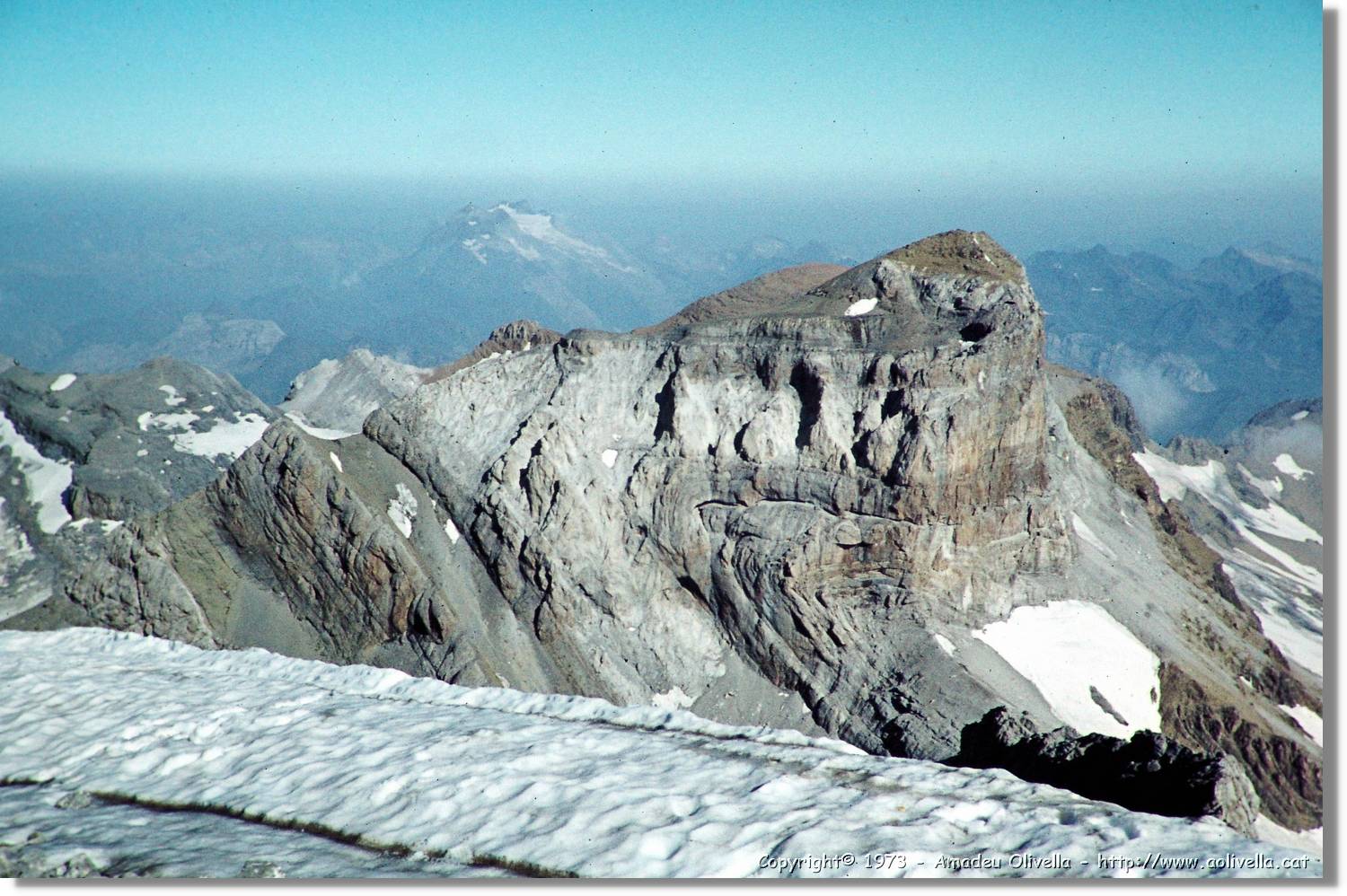 Pineta_058.jpg
