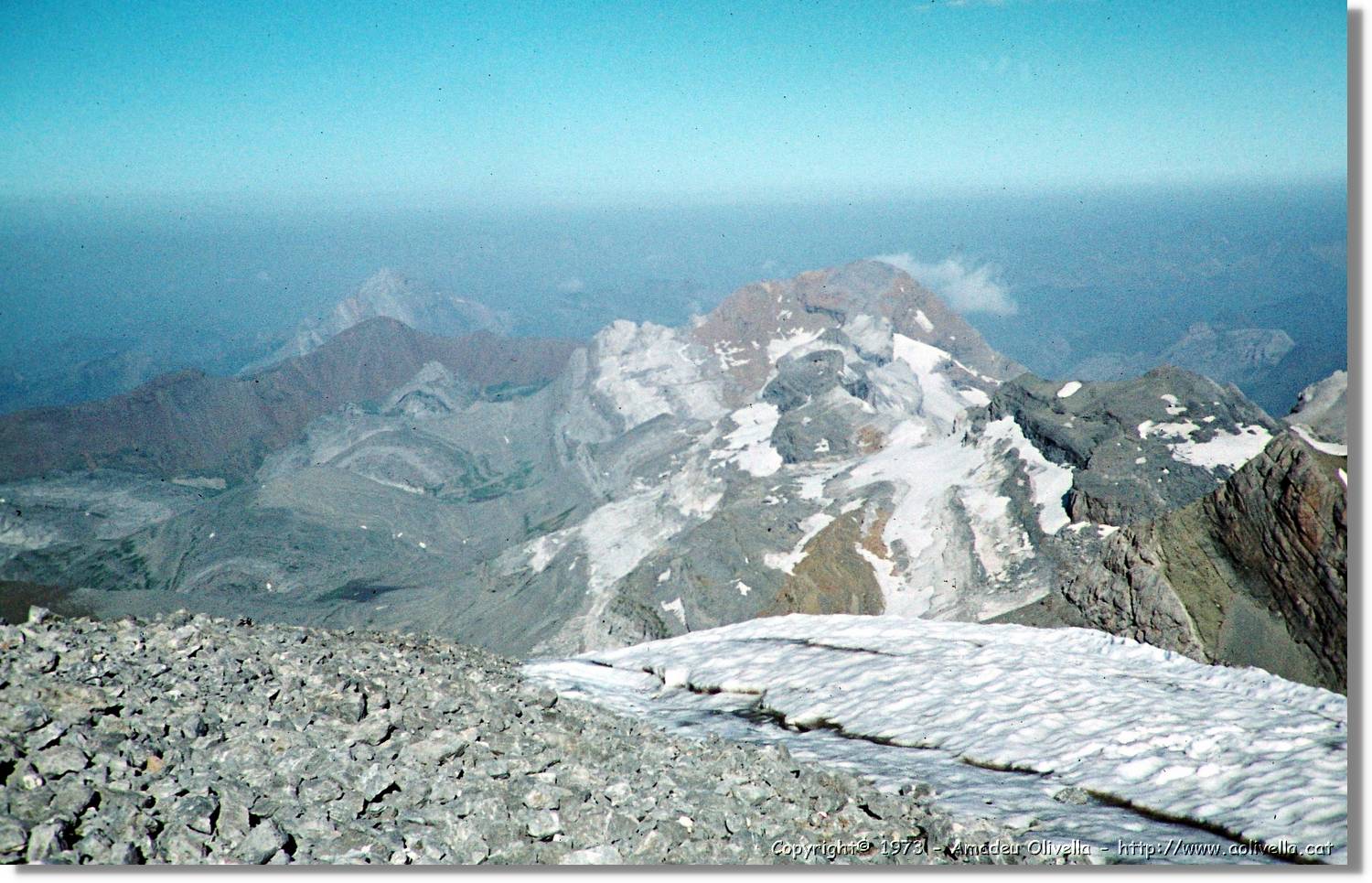 Pineta_059.jpg