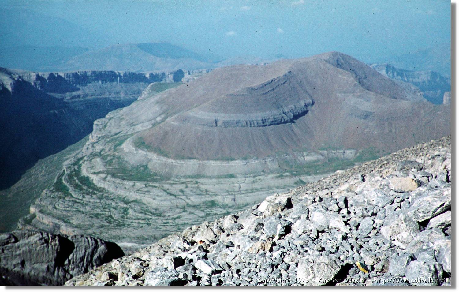 Pineta_060.jpg