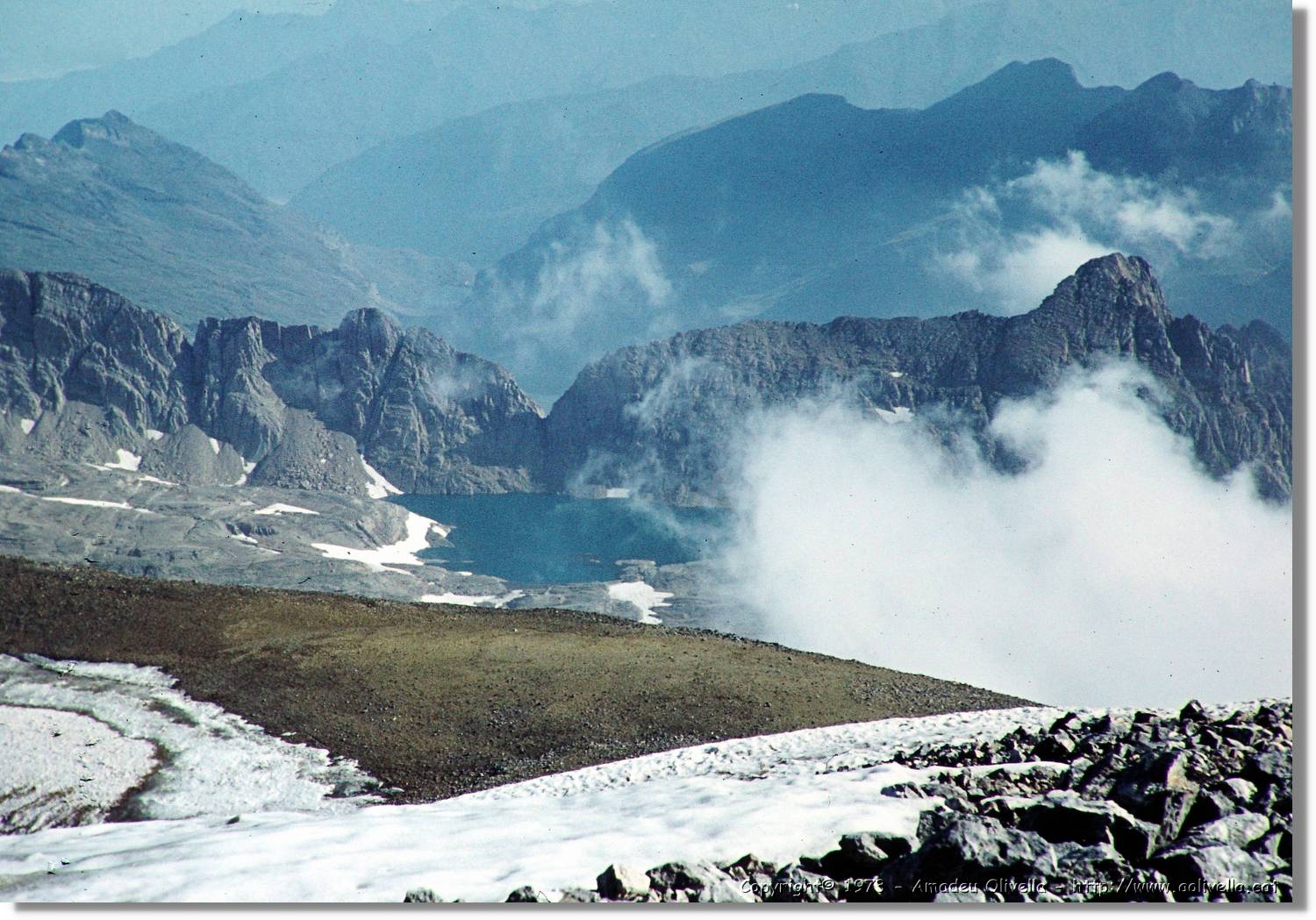 Pineta_062.jpg