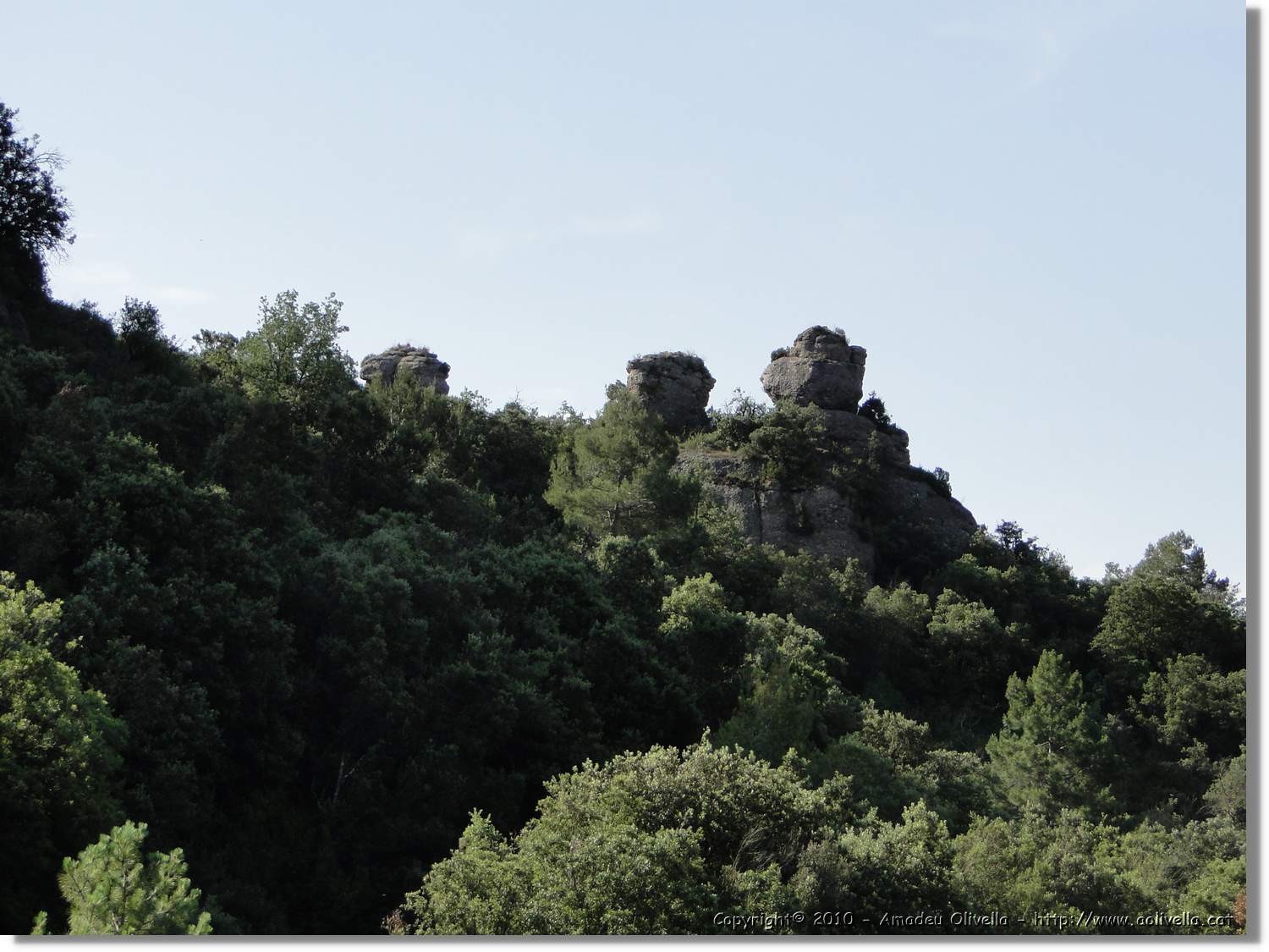 Rodona_009.jpg