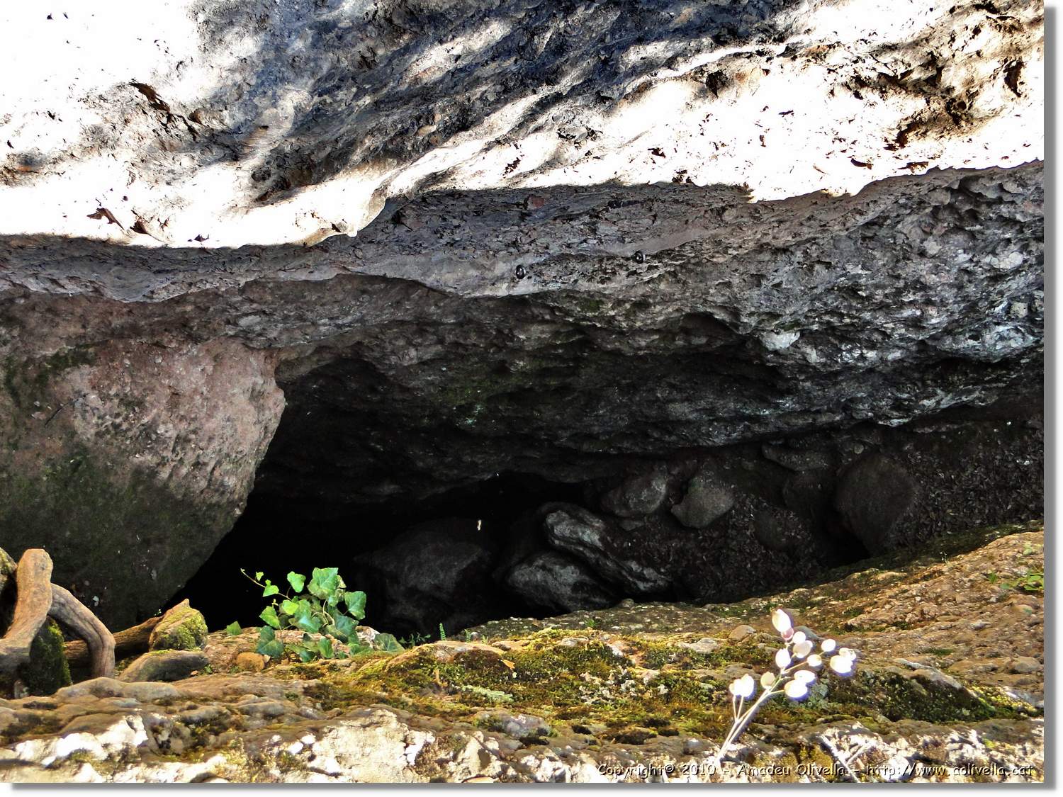 Rodona_010.jpg