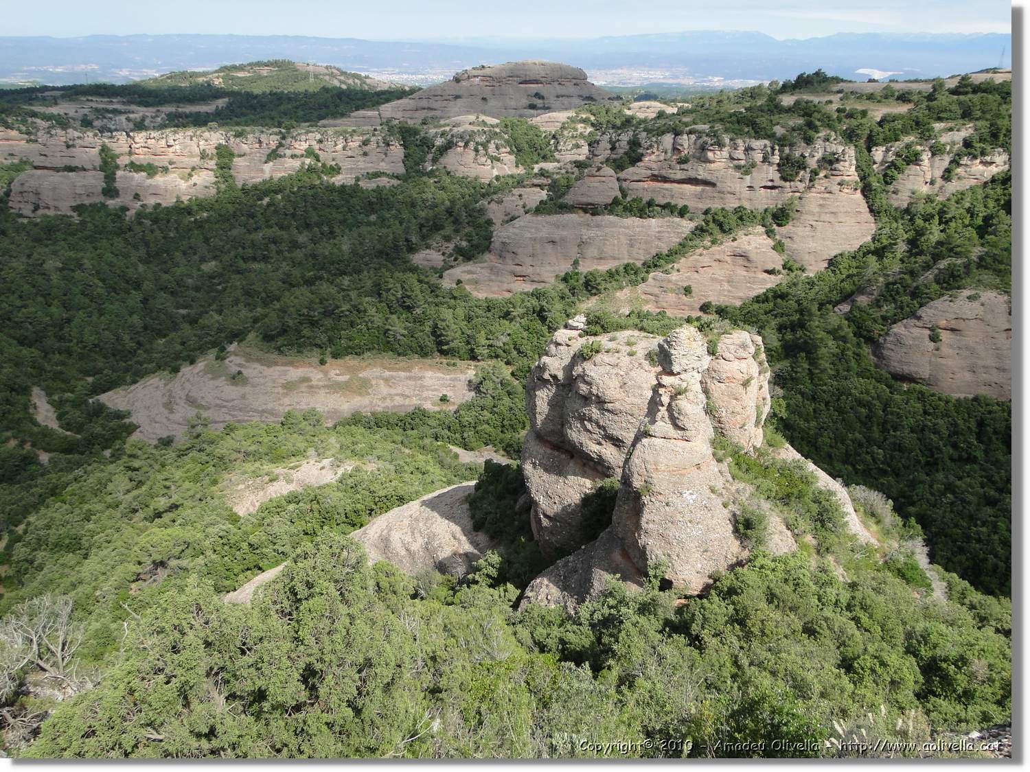 Rodona_030.jpg