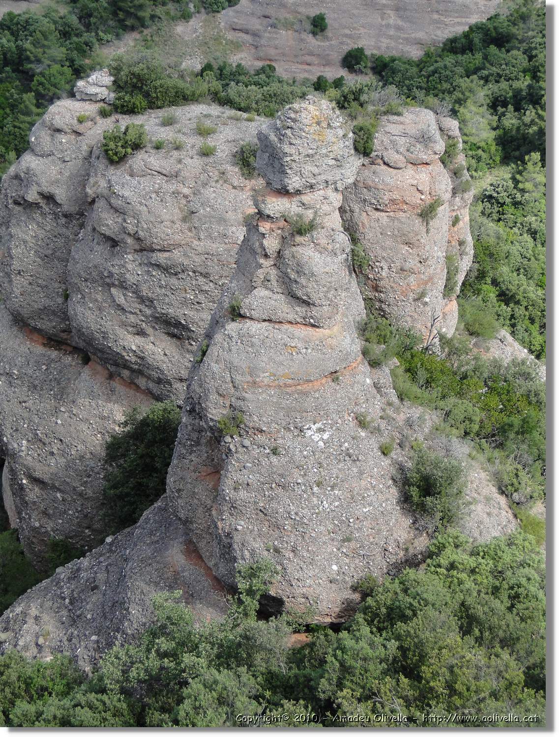 Rodona_031.jpg