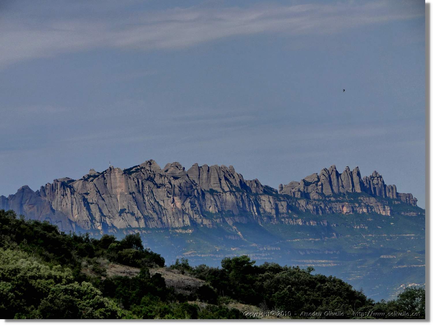 Rodona_032.jpg