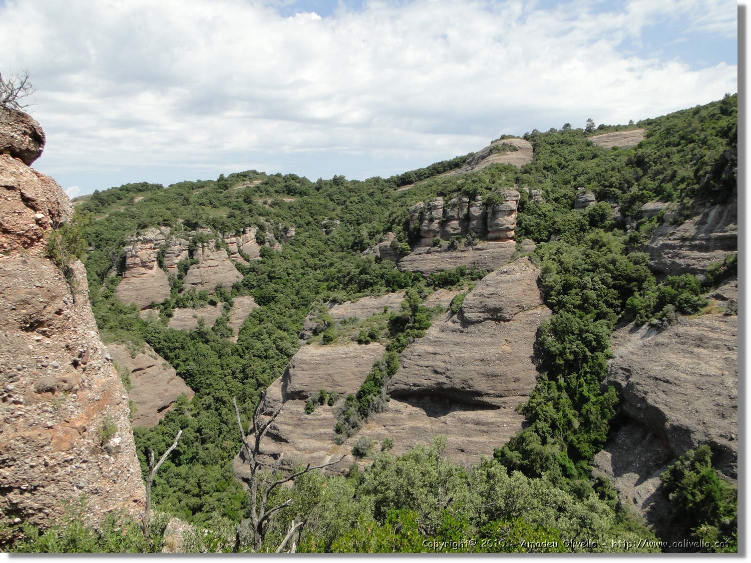 Rodona_067.jpg