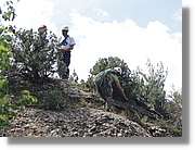 Rodona_141.jpg