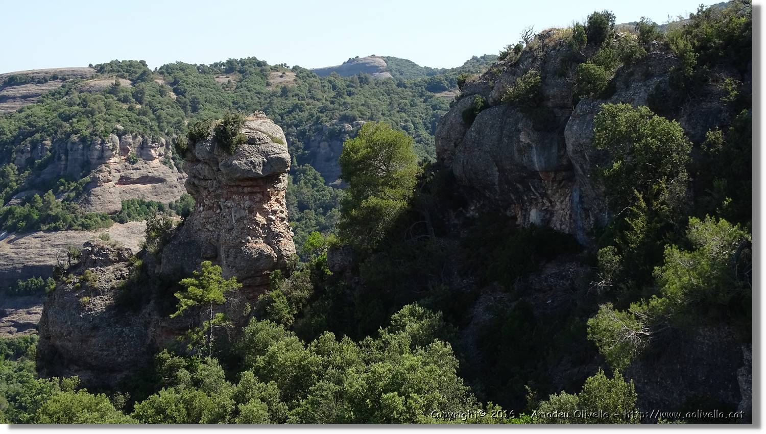 Llorenc_042.jpg