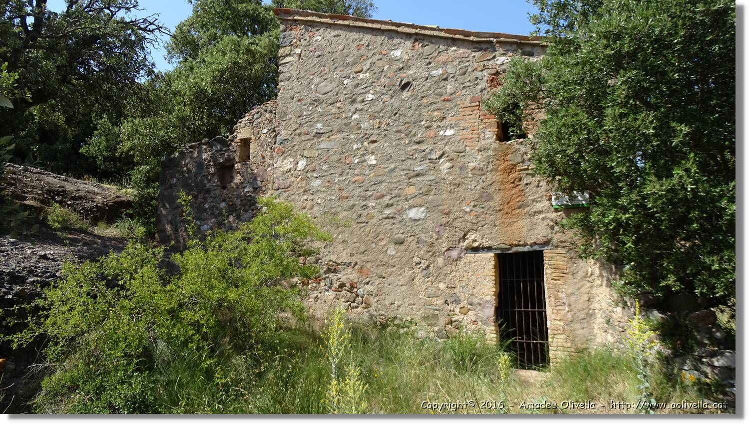 Llorenc_130.jpg