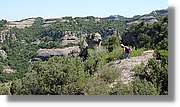 Llorenc_062.jpg