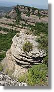 Llorenc_091.jpg