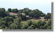 Llorenc_141.jpg