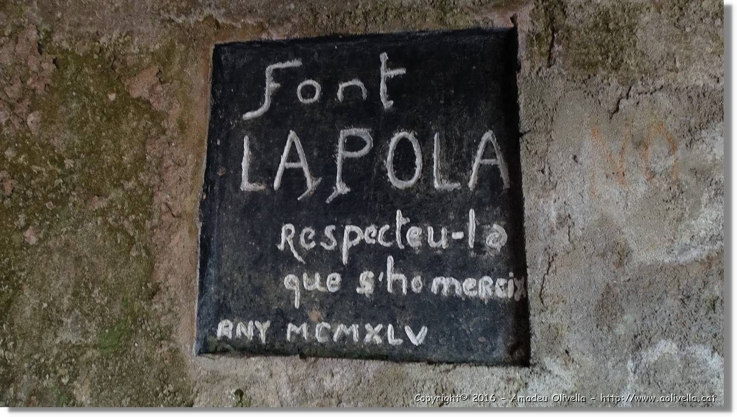 Llorenc_118.jpg