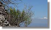 Llorenc_053.jpg