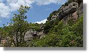 Llorenc_086.jpg
