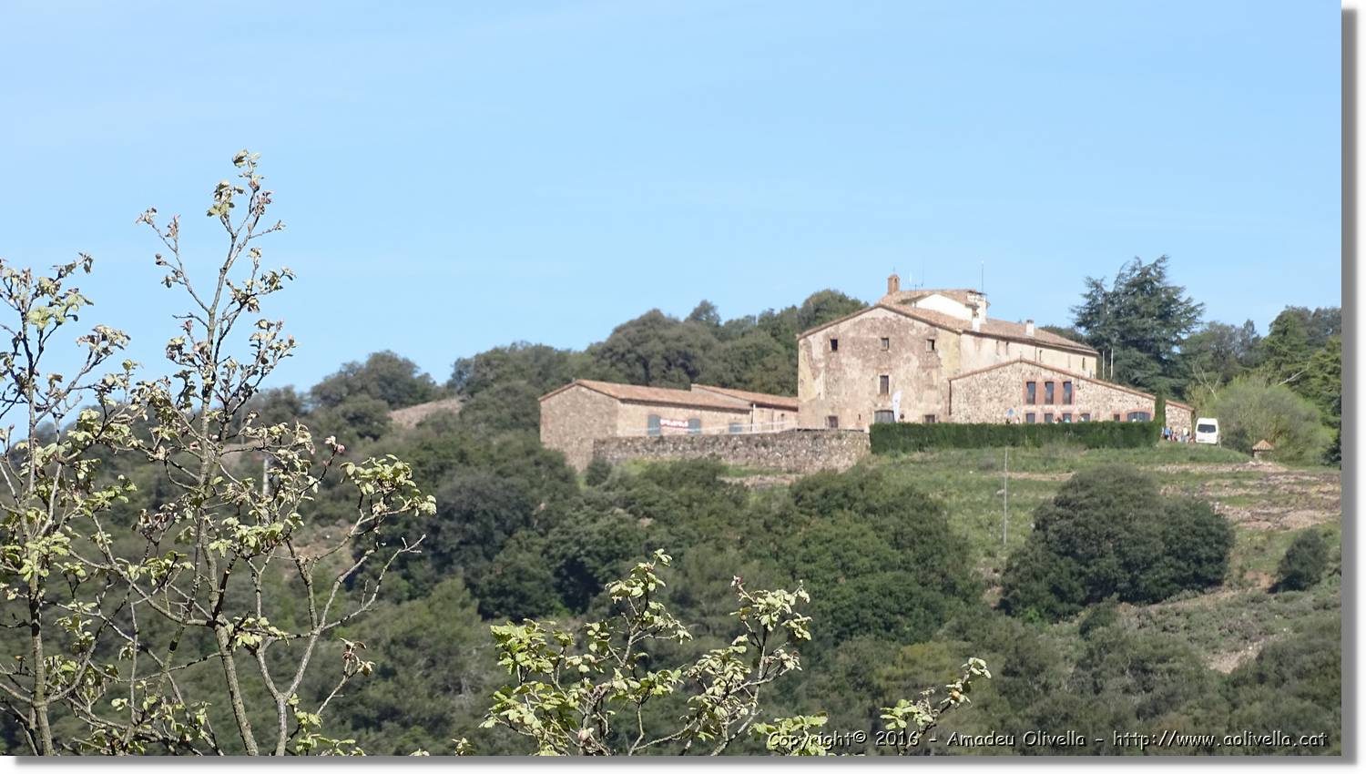 Llorenc_016.jpg