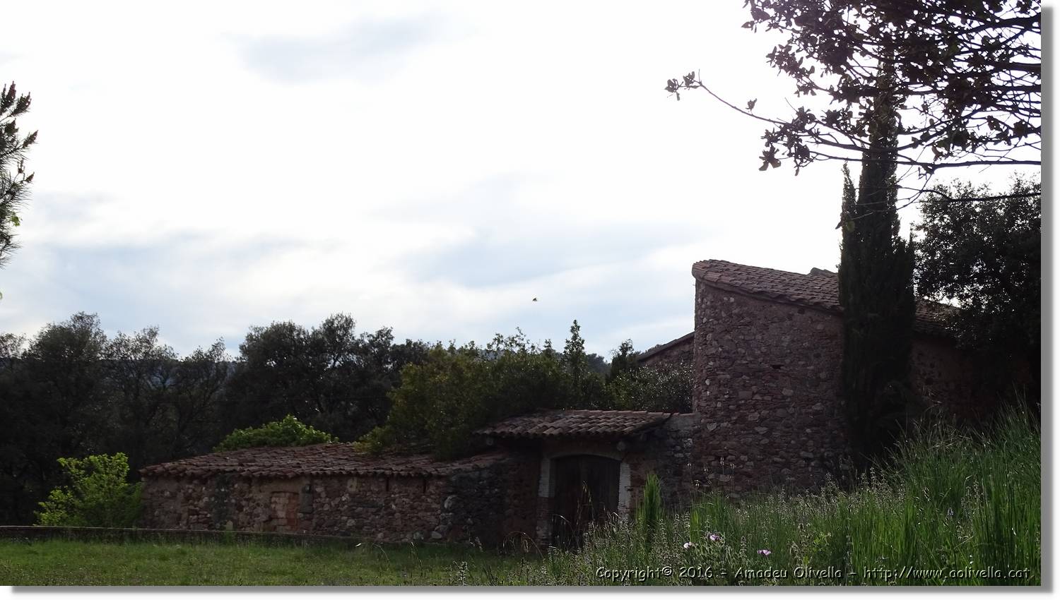 Llorenc_172.jpg