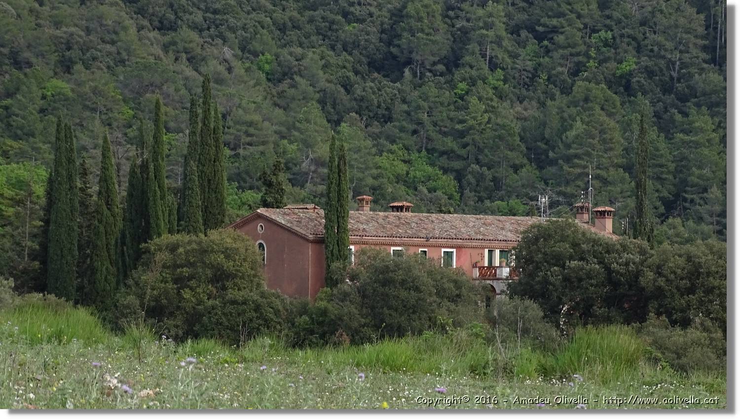 Llorenc_175.jpg