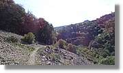 Llorenc_005.jpg