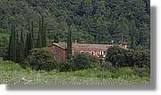 Llorenc_175.jpg