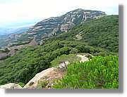Llorenc_118.jpg