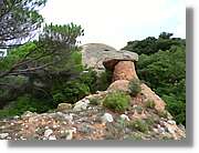 Llorenc_119.jpg