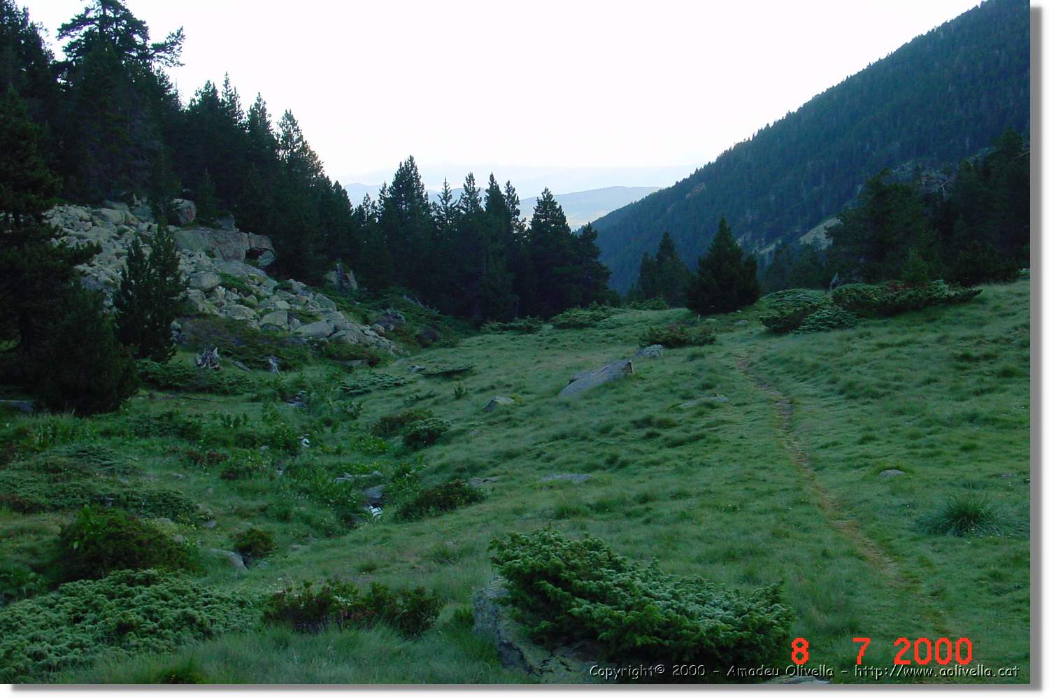 Planès_003.jpg
