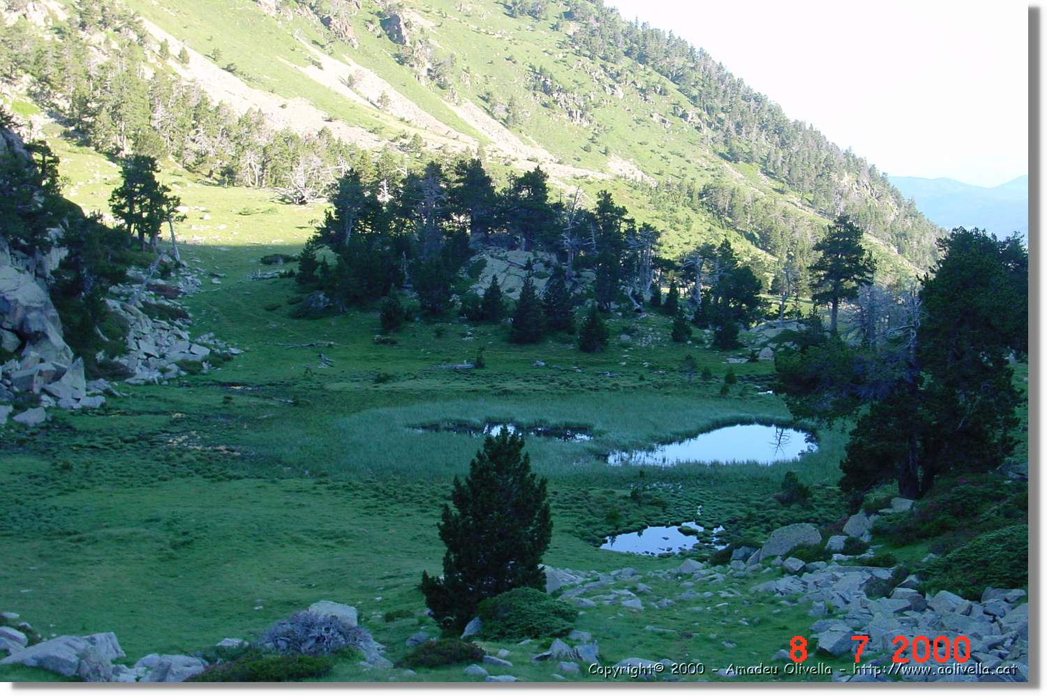 Planès_016.jpg