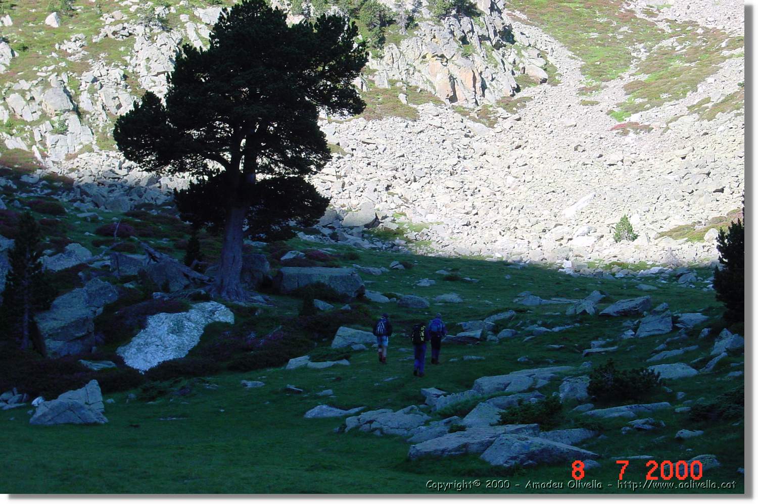 Planès_018.jpg