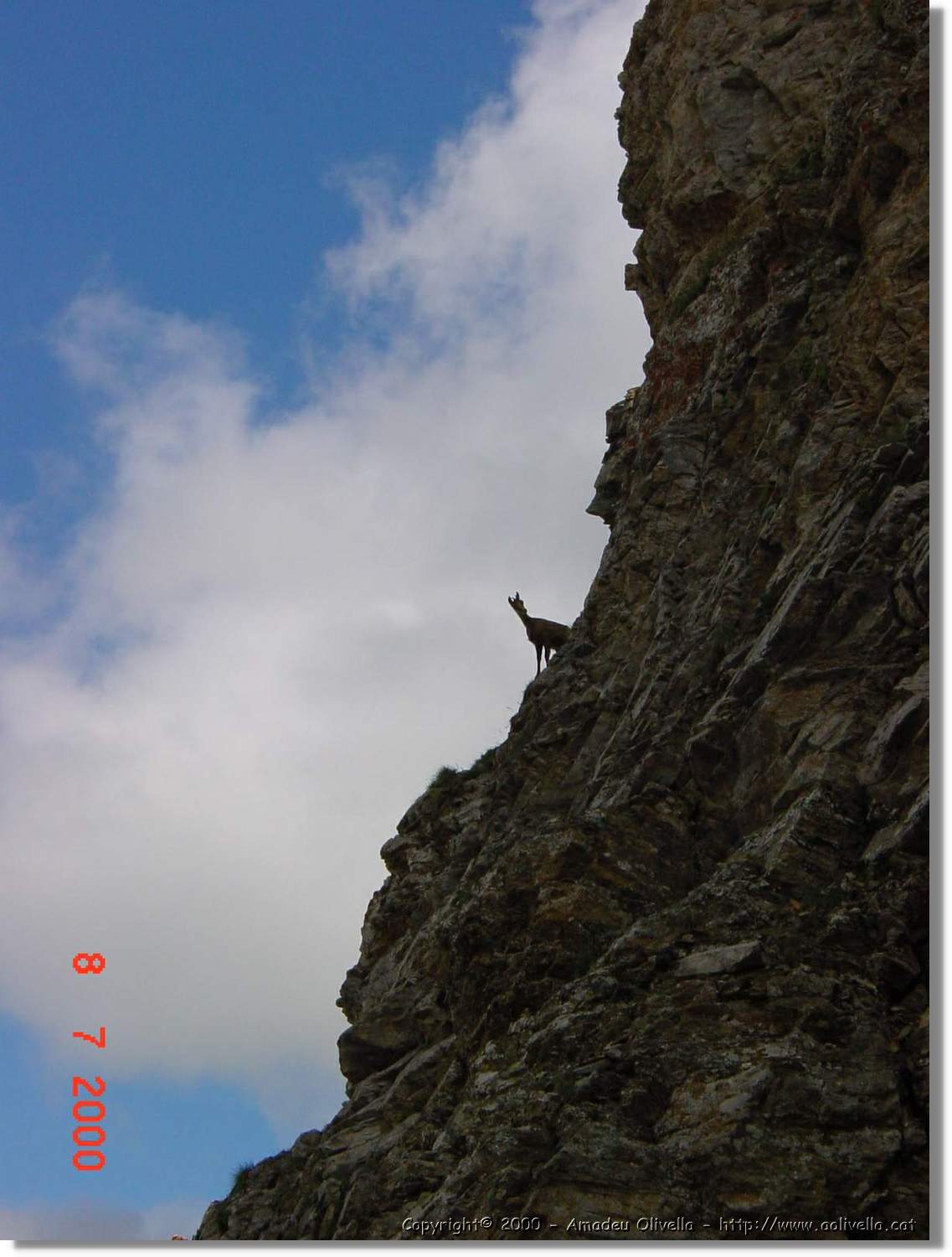 Planès_046.jpg