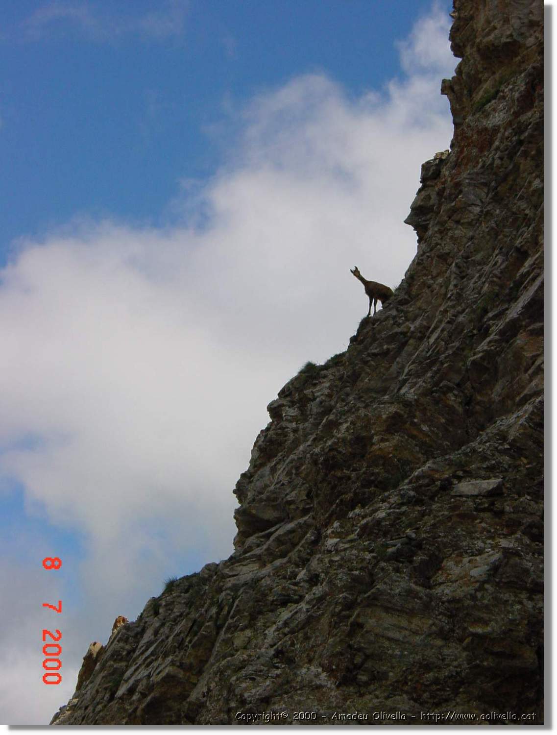 Planès_048.jpg