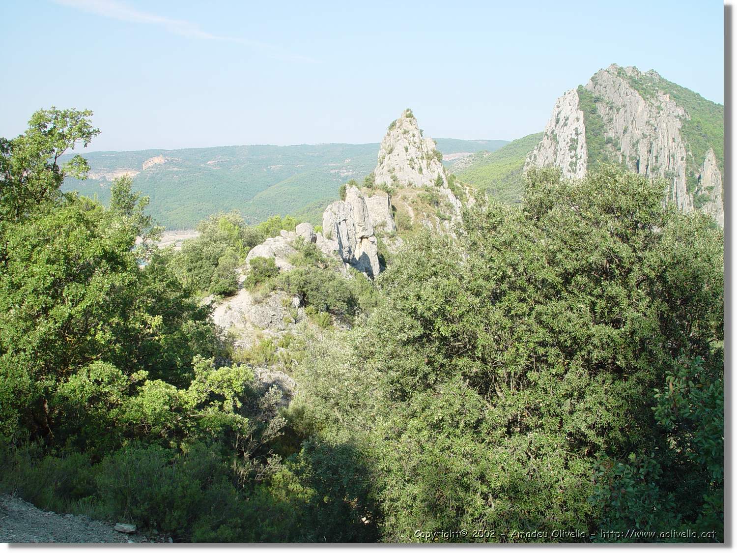 Ferrada_002.jpg