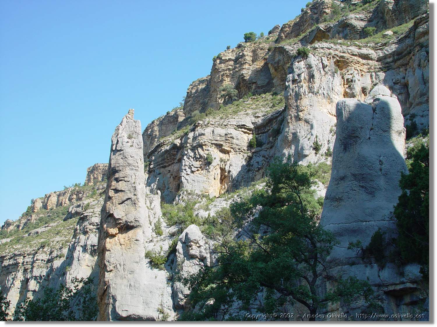 Ferrada_006.jpg
