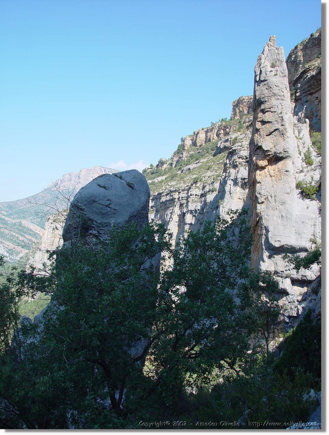 Ferrada_007.jpg