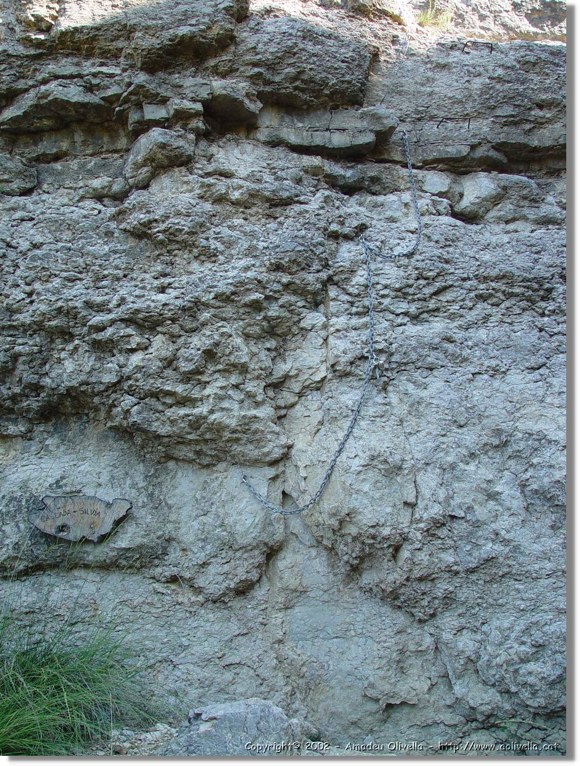 Ferrada_009.jpg
