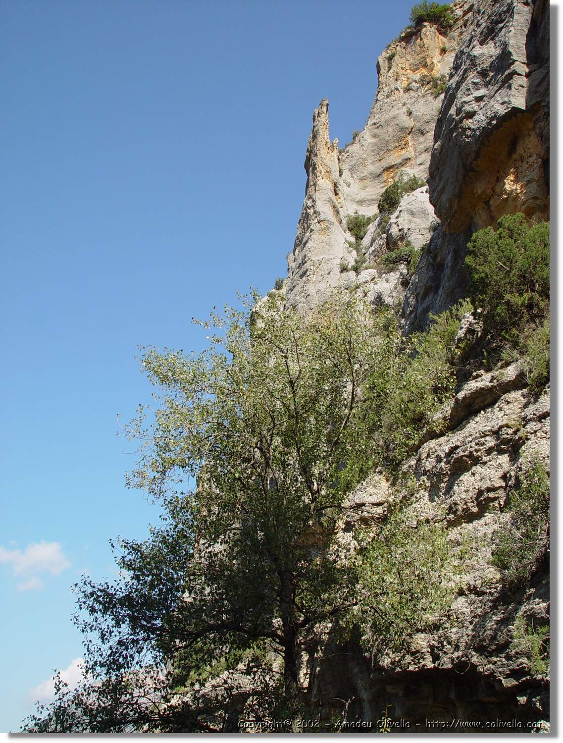 Ferrada_010.jpg
