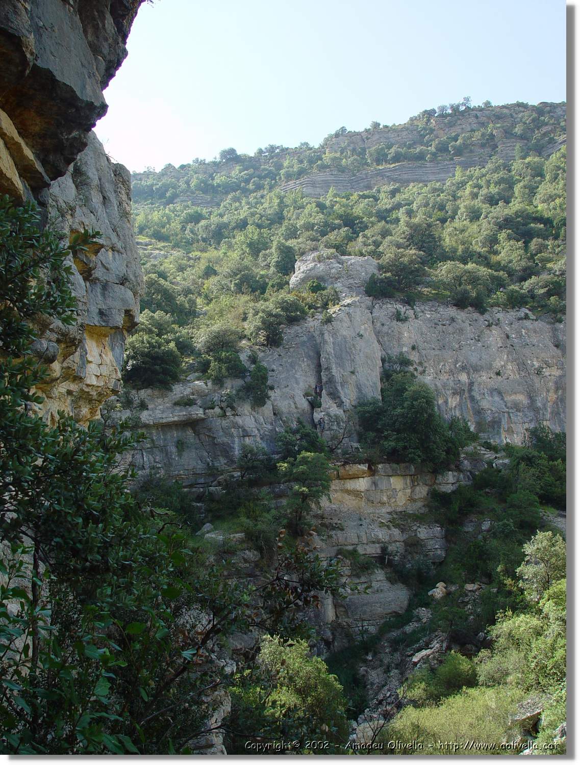 Ferrada_013.jpg