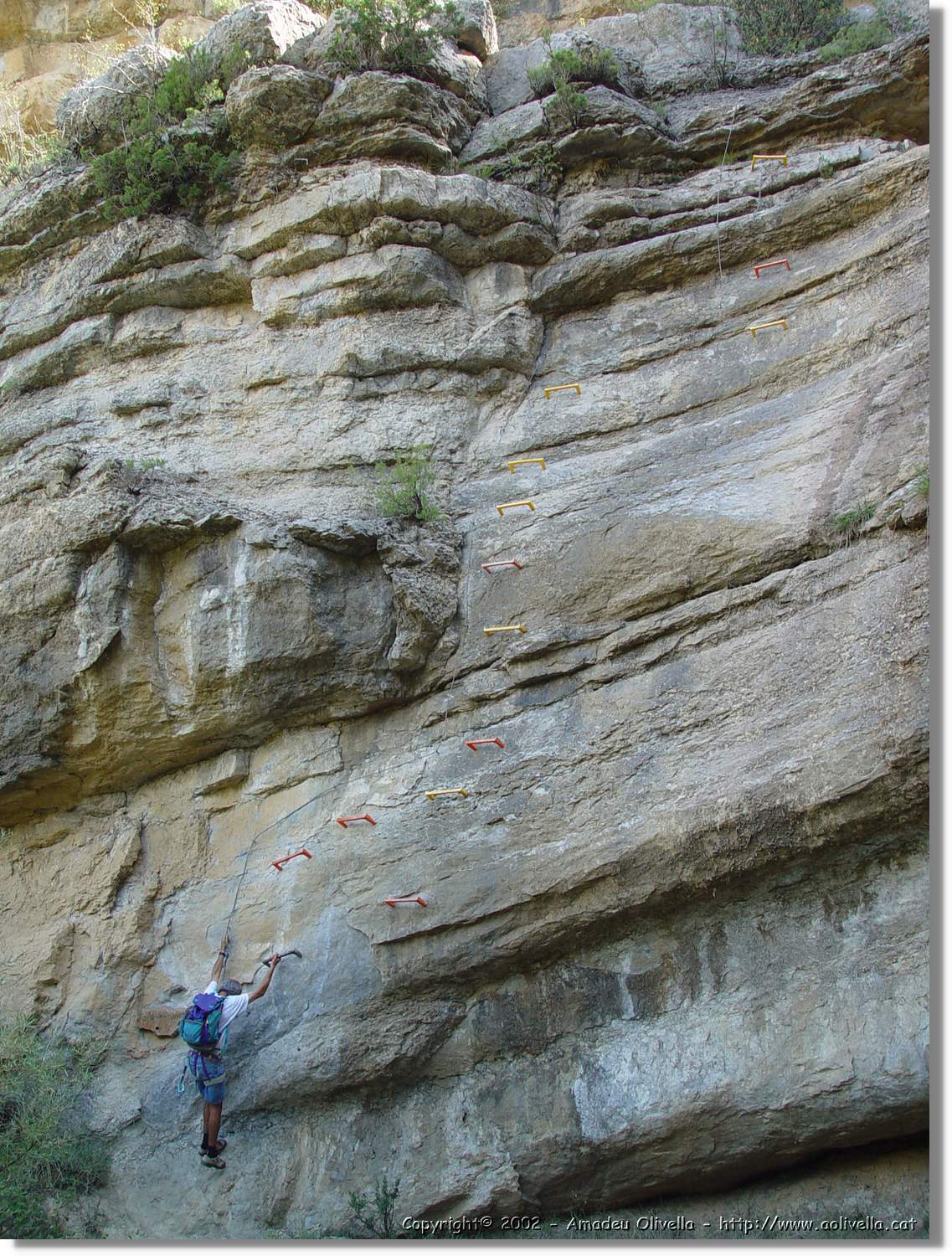 Ferrada_015.jpg